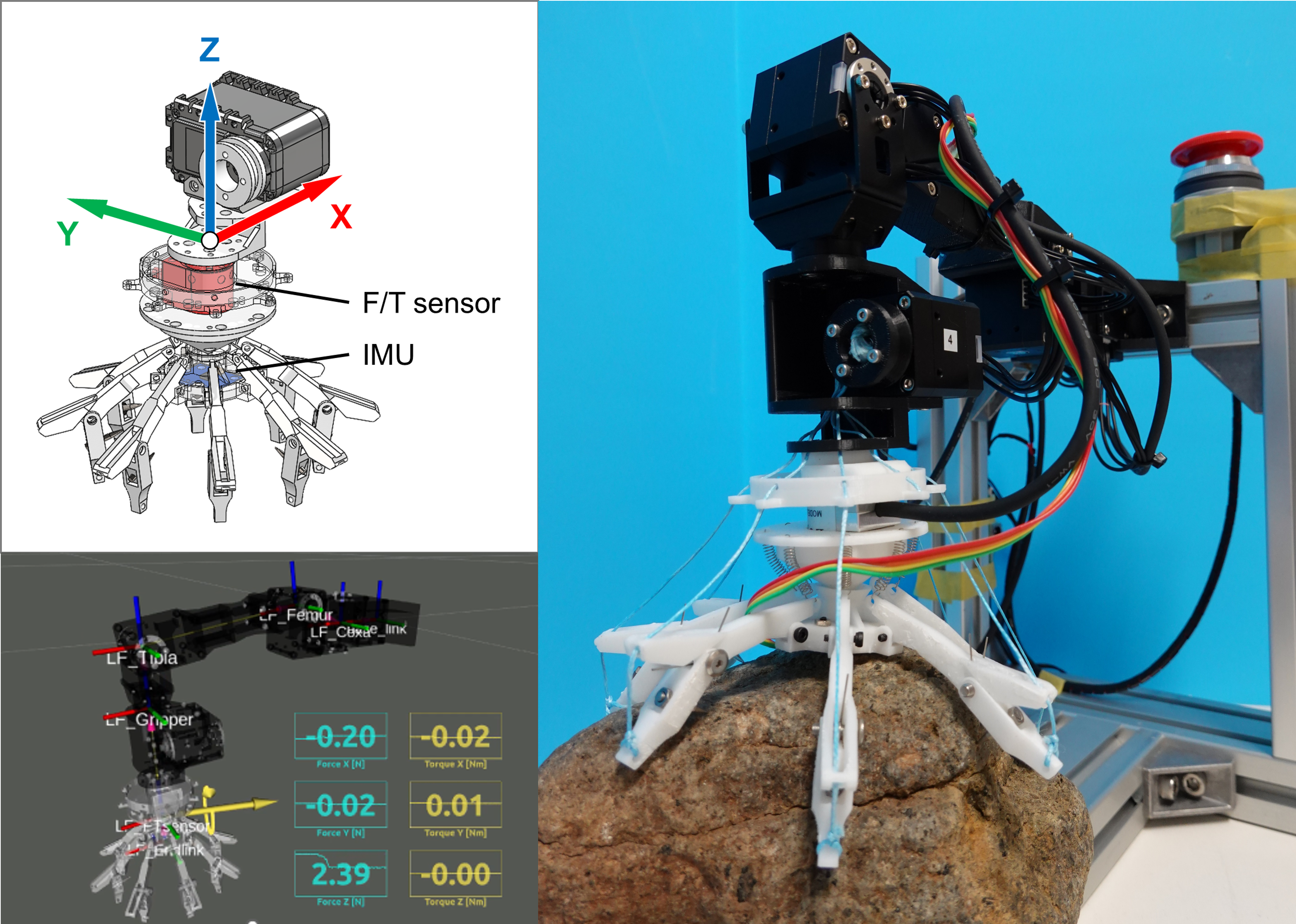 Sensorized Spined Gripper